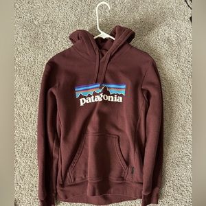 Patagonia Men’s Hoodie